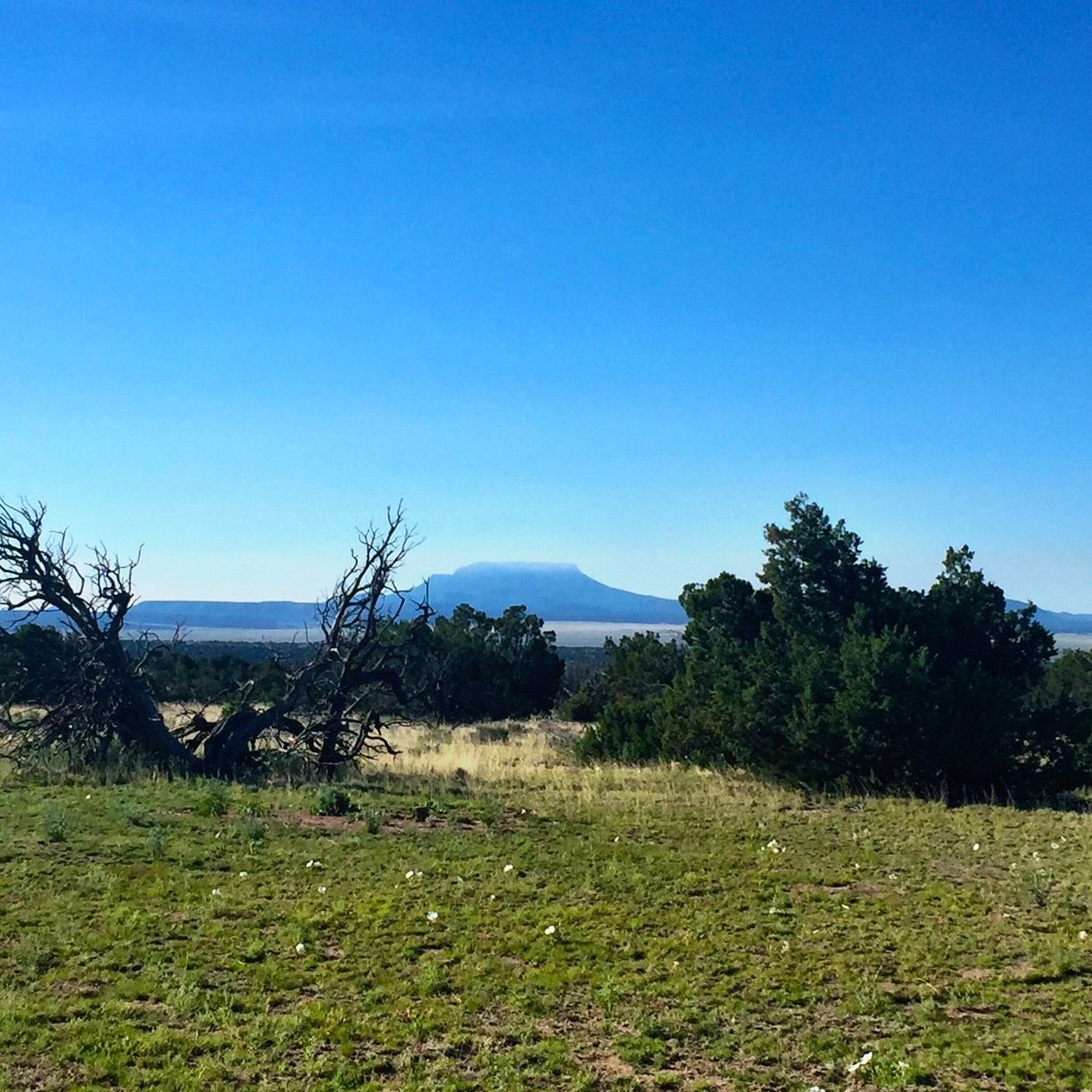 Land Listing Agent Photo