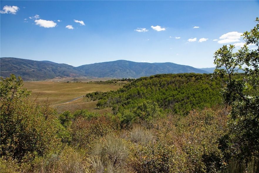 Land Listing Agent Photo