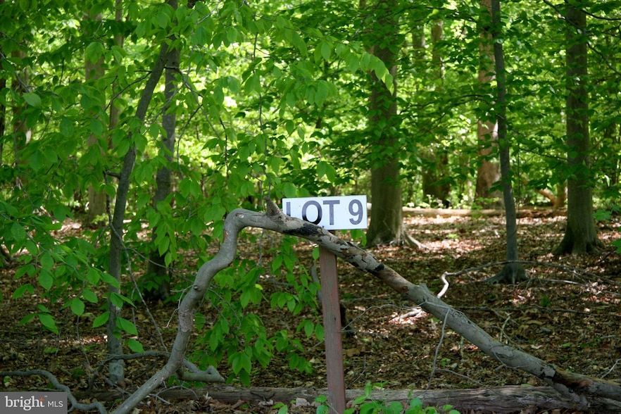 Land Listing Agent Photo