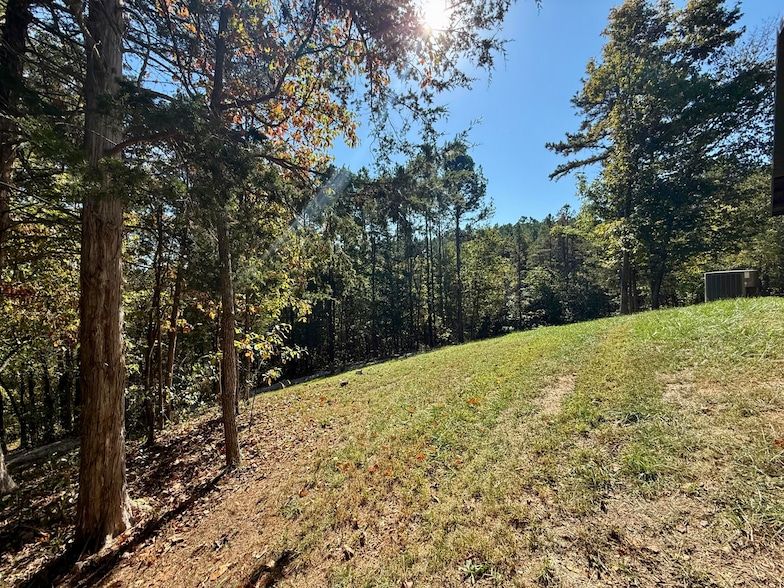 Land Listing Agent Photo