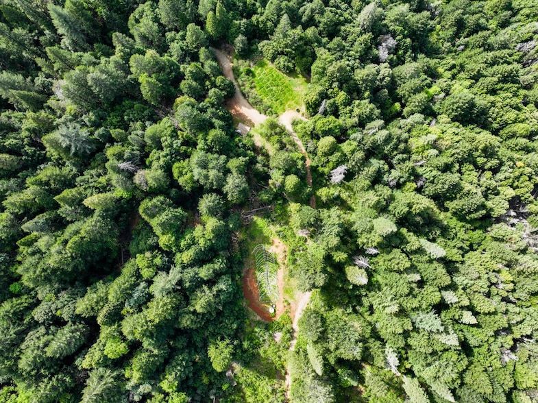 Land Listing Agent Photo