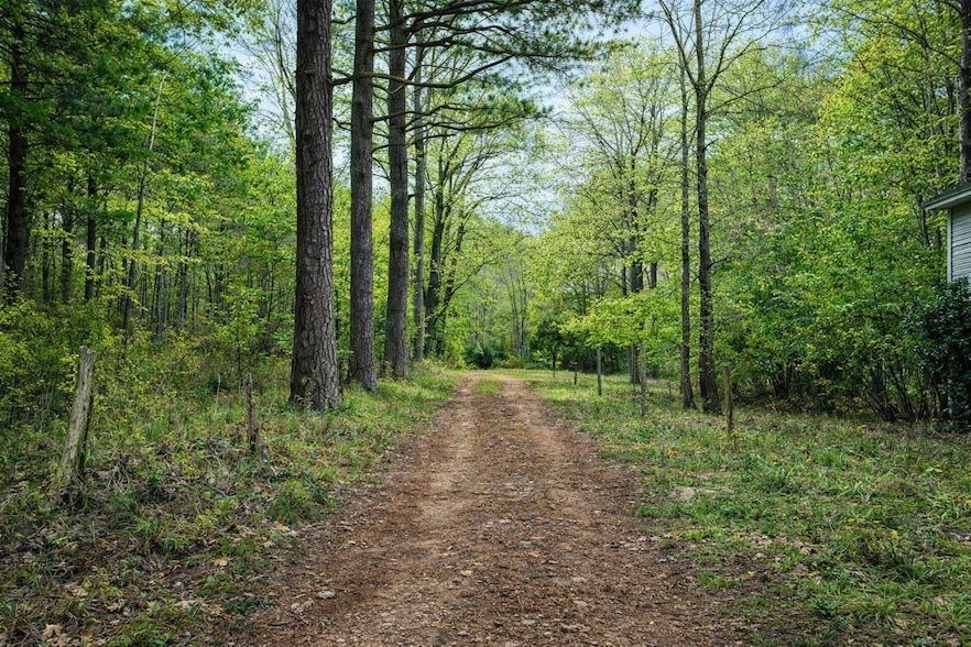 Land Listing Agent Photo