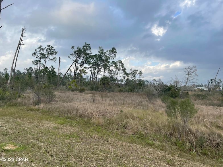 Land Listing Agent Photo