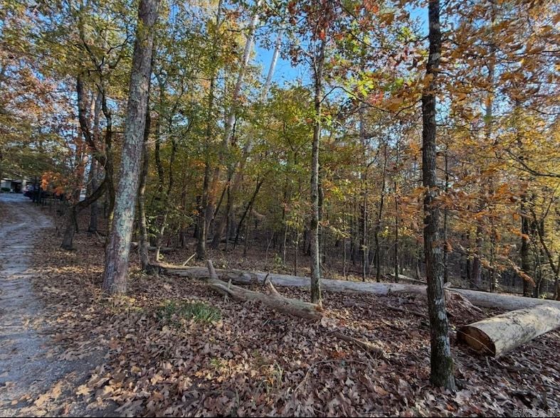 Land Listing Agent Photo