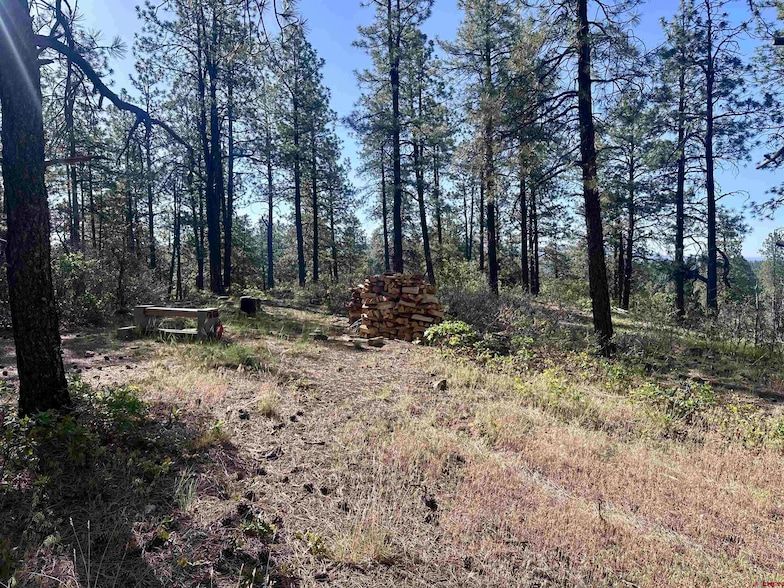 Land Listing Agent Photo