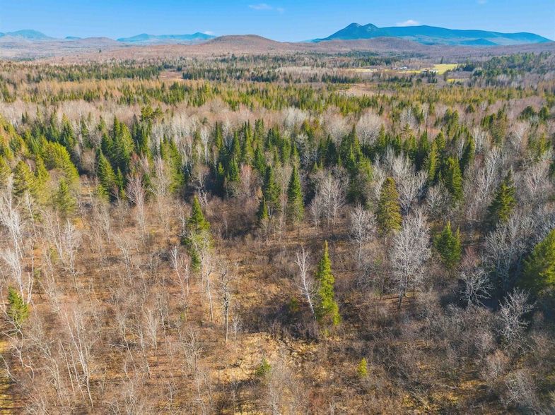 Land Listing Agent Photo