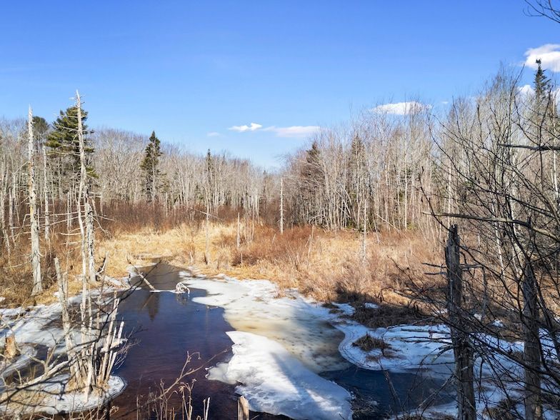 Land Listing Agent Photo