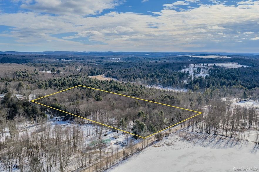 Land Listing Agent Photo