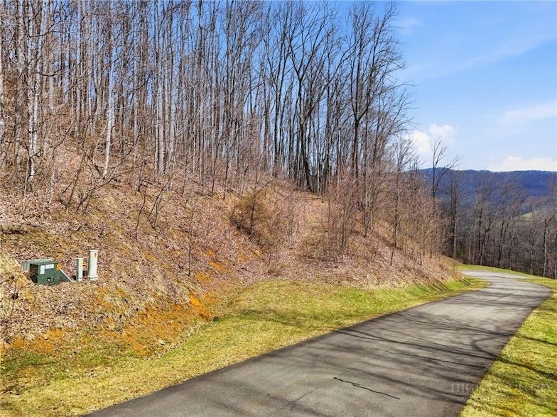 Land Listing Agent Photo