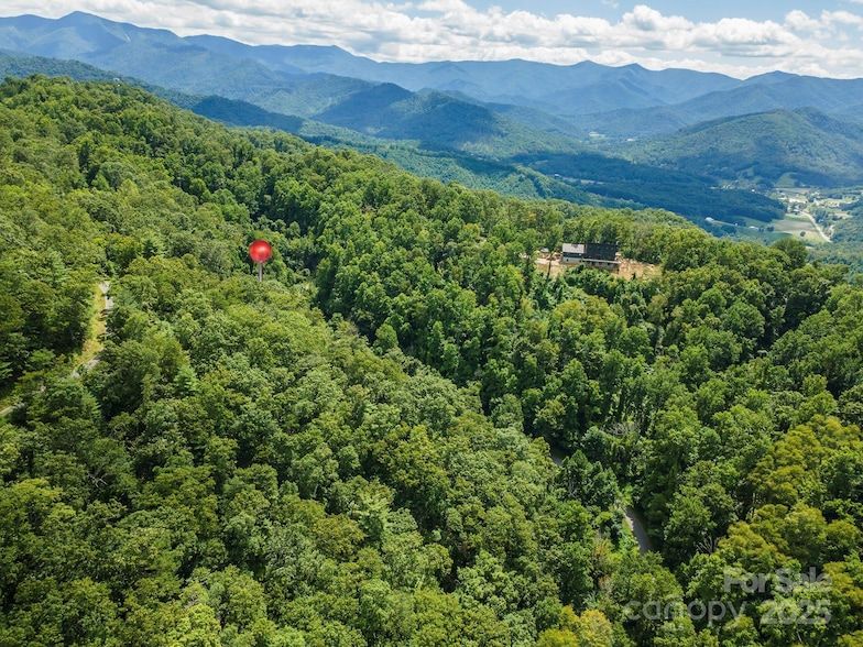 Land Listing Agent Photo