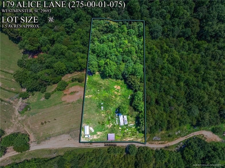 Land Listing Agent Photo