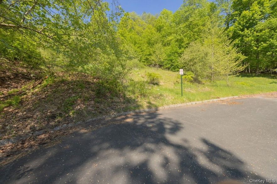 Land Listing Agent Photo