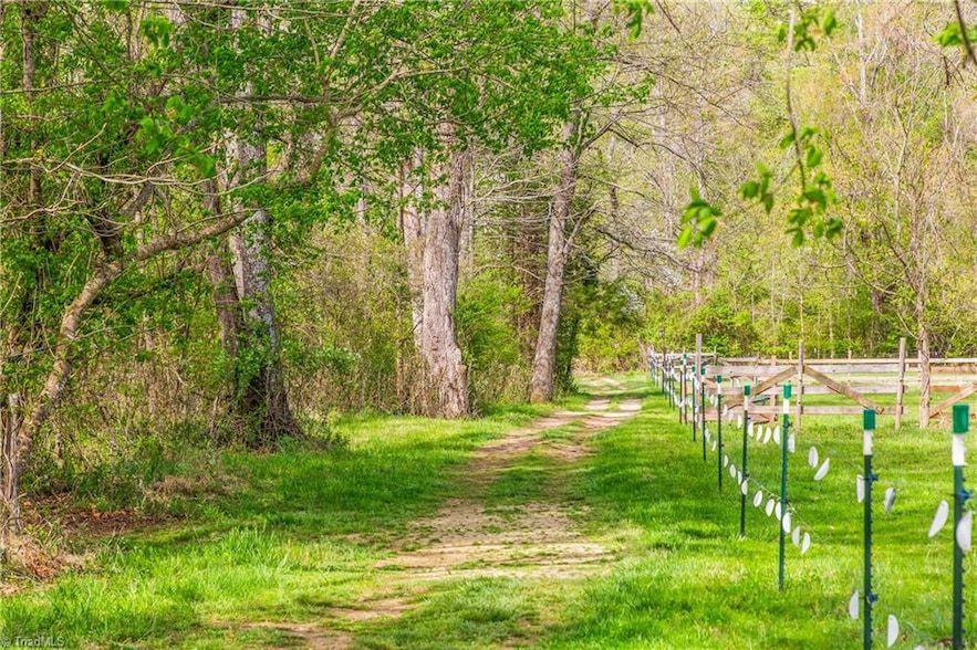 Land Listing Agent Photo