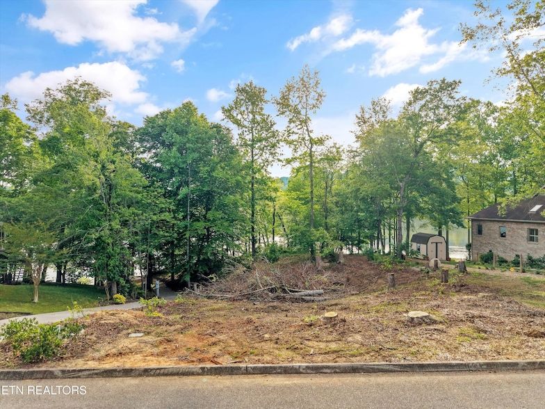 Land Listing Agent Photo