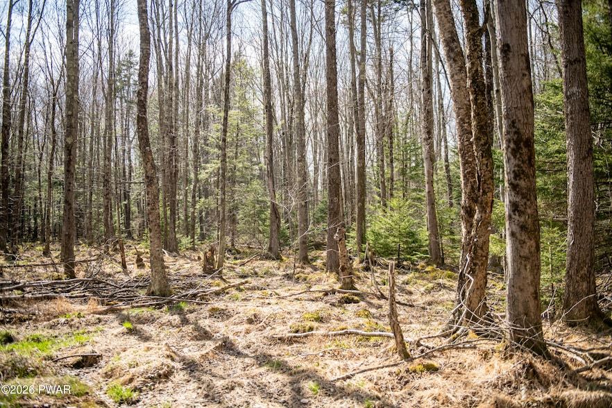 Land Listing Agent Photo