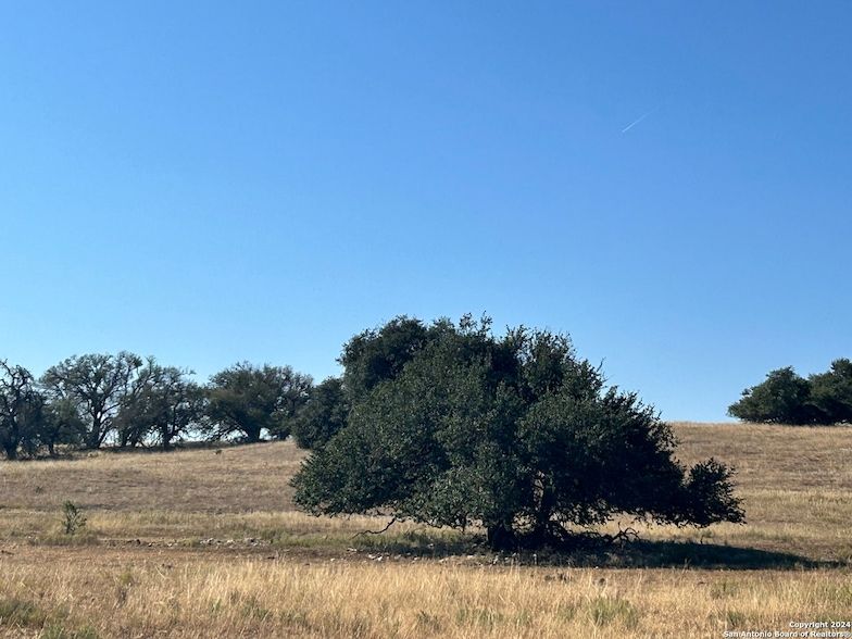 Land Listing Agent Photo
