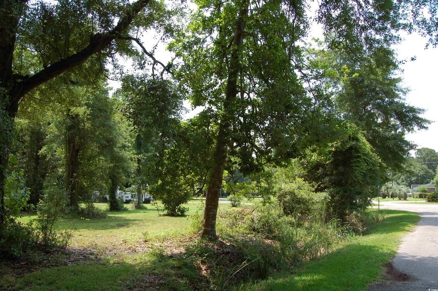 Land Listing Agent Photo
