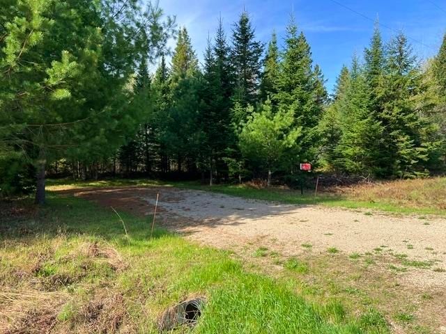 Land Listing Agent Photo