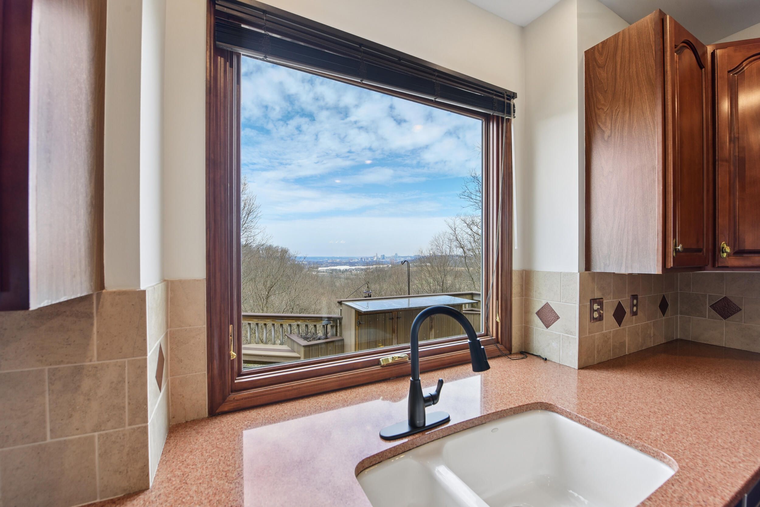 Land Listing Agent Photo