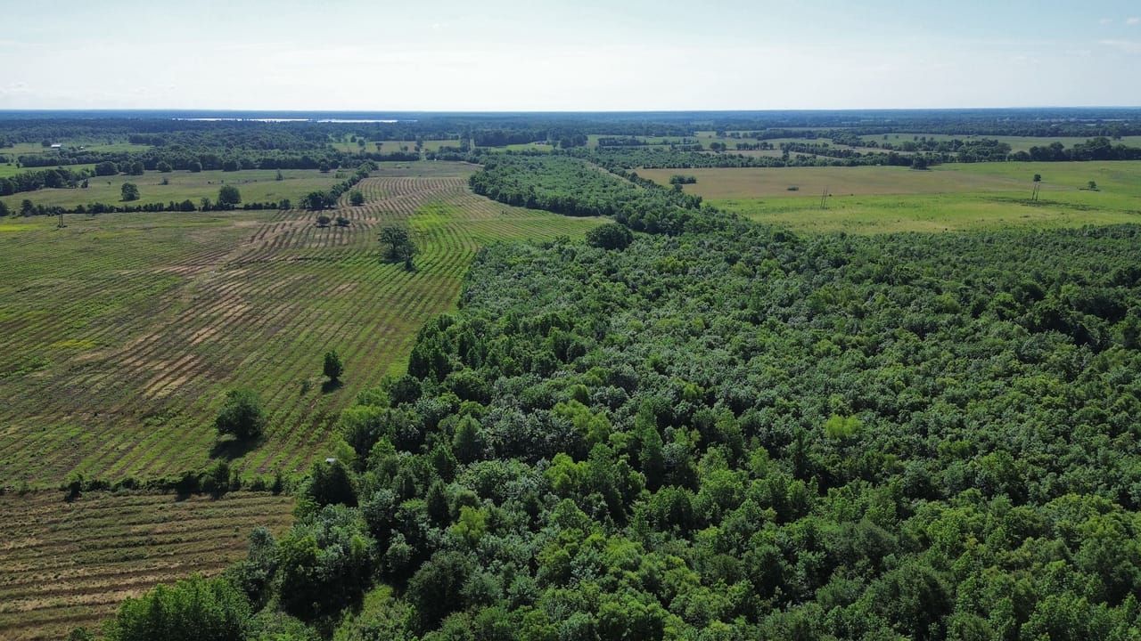 Land Listing Agent Photo