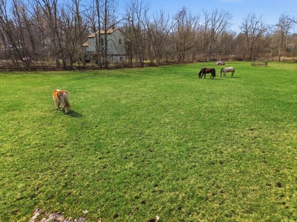 Land Listing Agent Photo