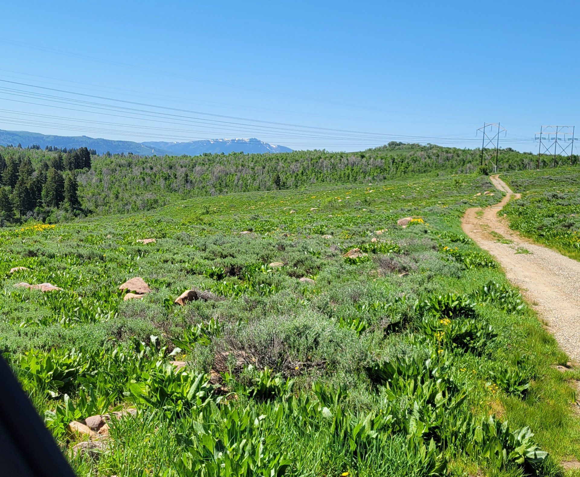 Land Listing Agent Photo