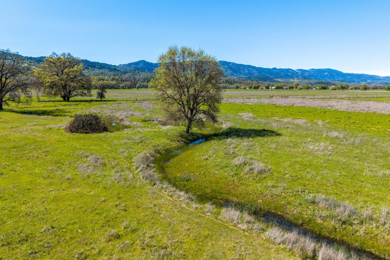 Land Listing Agent Photo