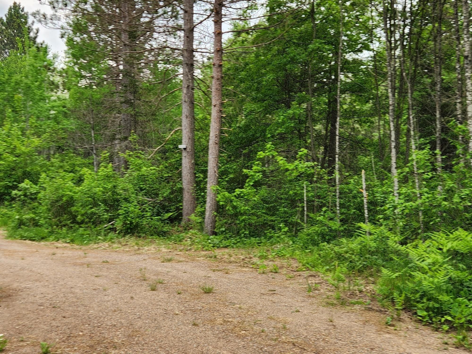Land Listing Agent Photo