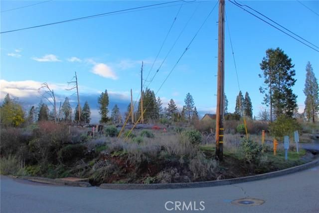 Land Listing Agent Photo