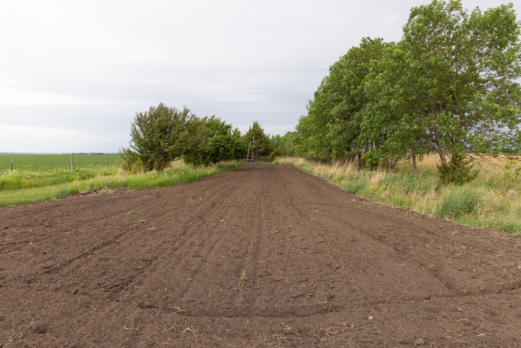 Land Listing Agent Photo