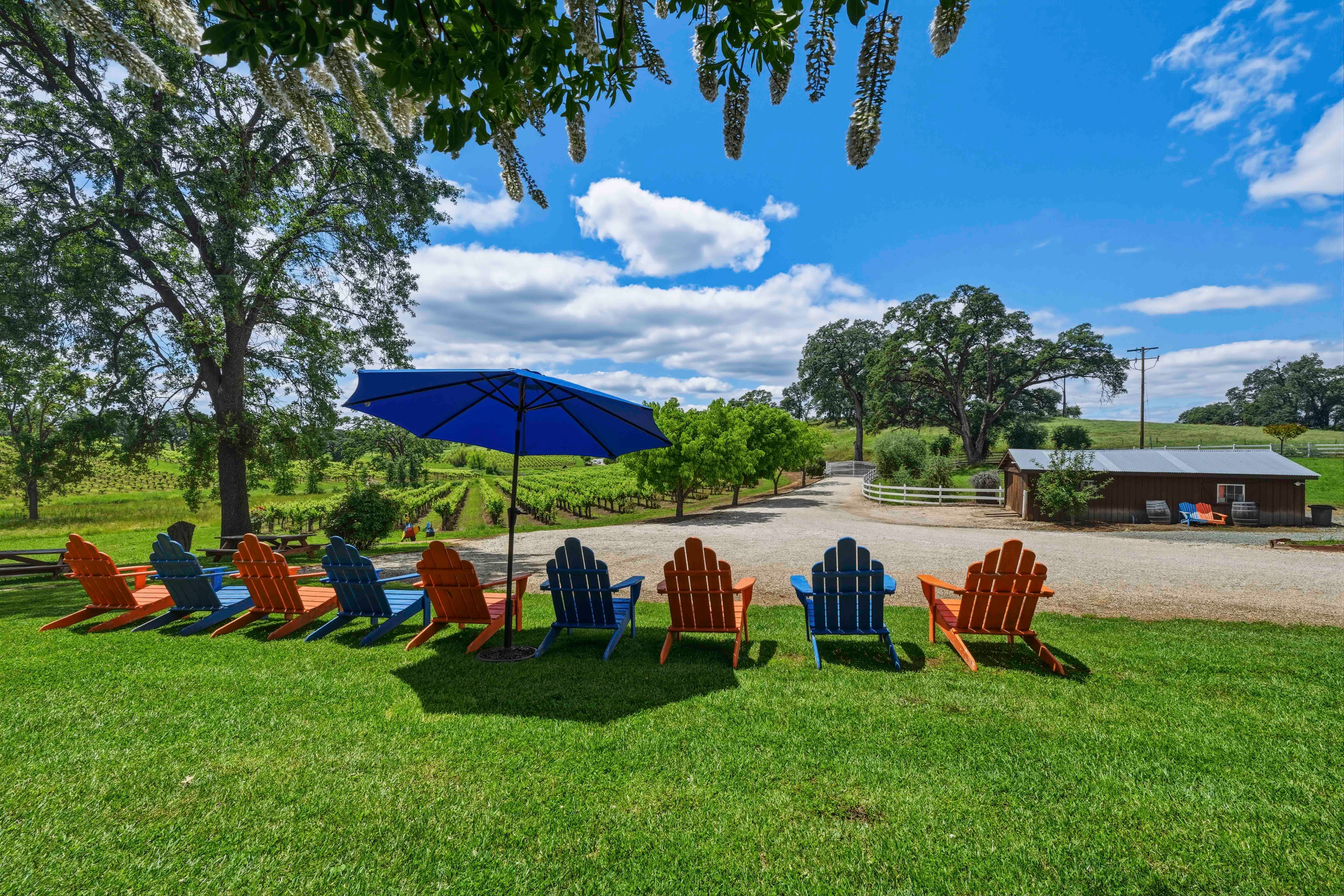Land Listing Agent Photo
