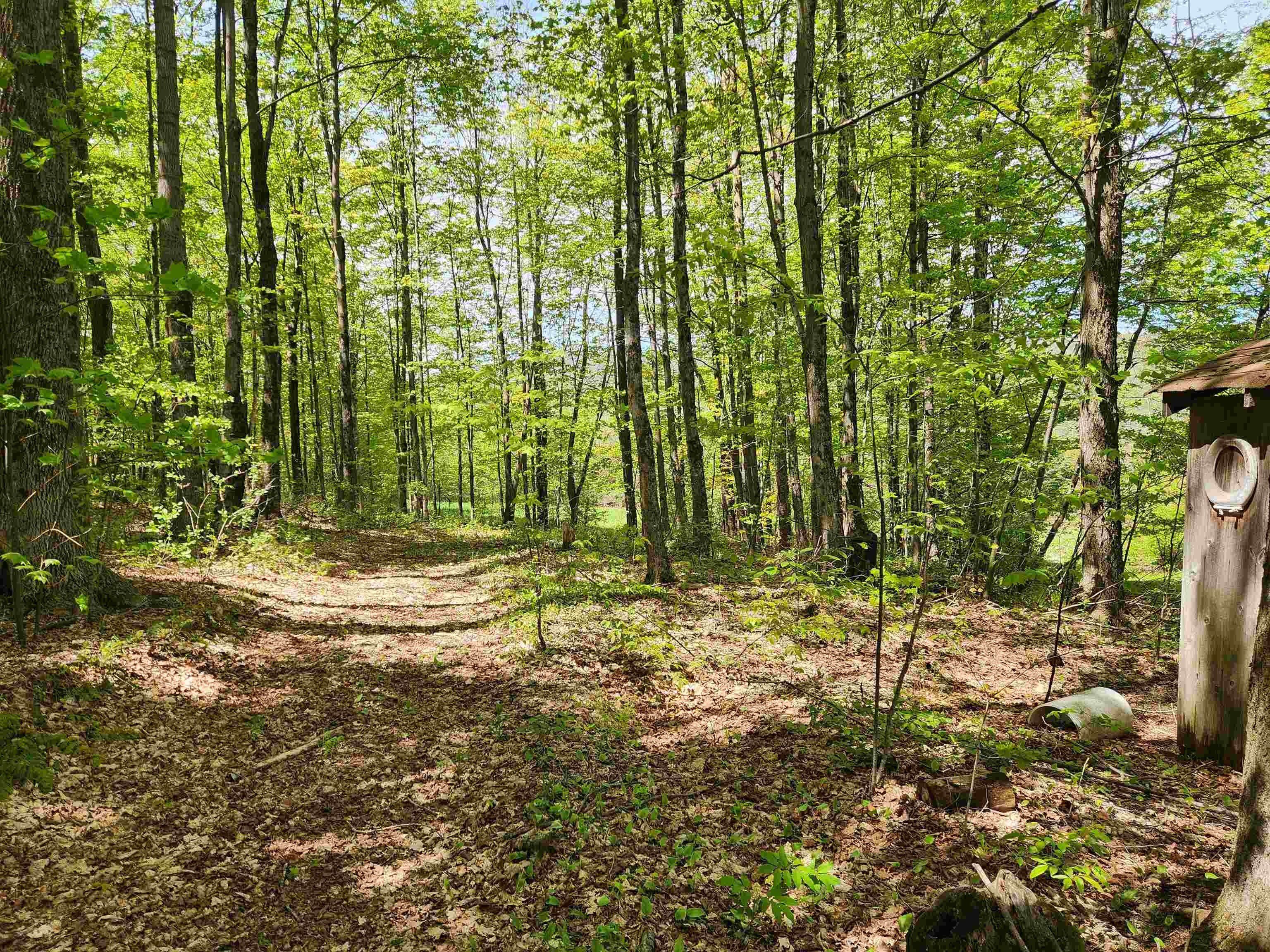 Land Listing Agent Photo