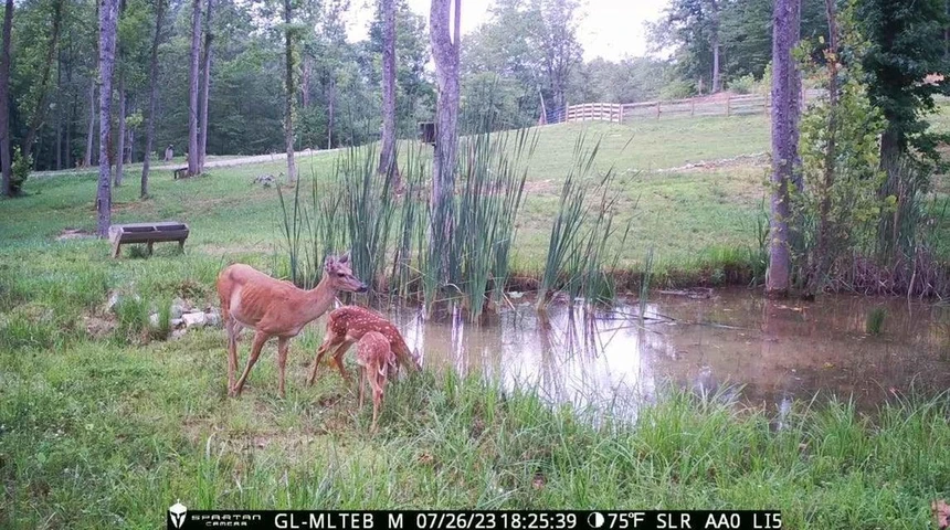Nearby Listing Image