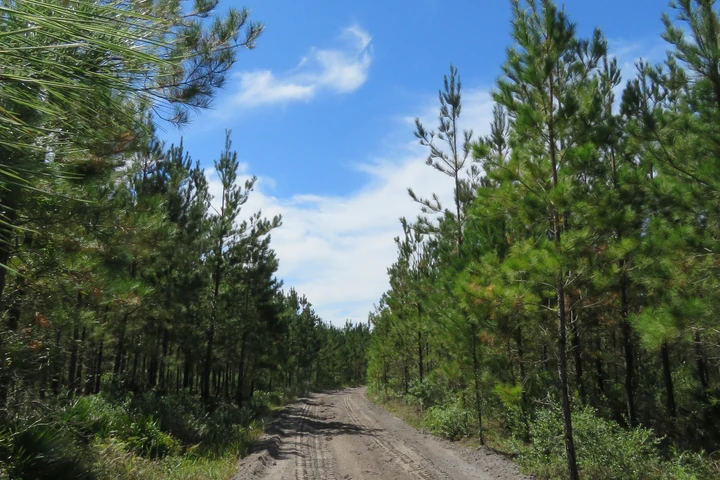 Nearby Listing Image