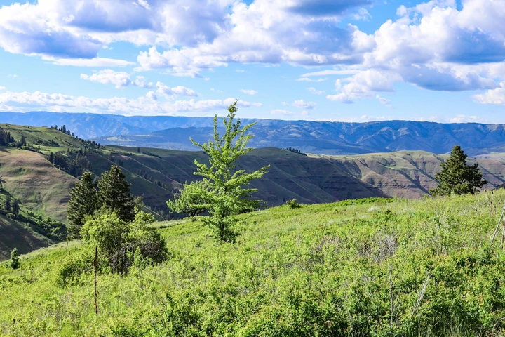 Nearby Listing Image