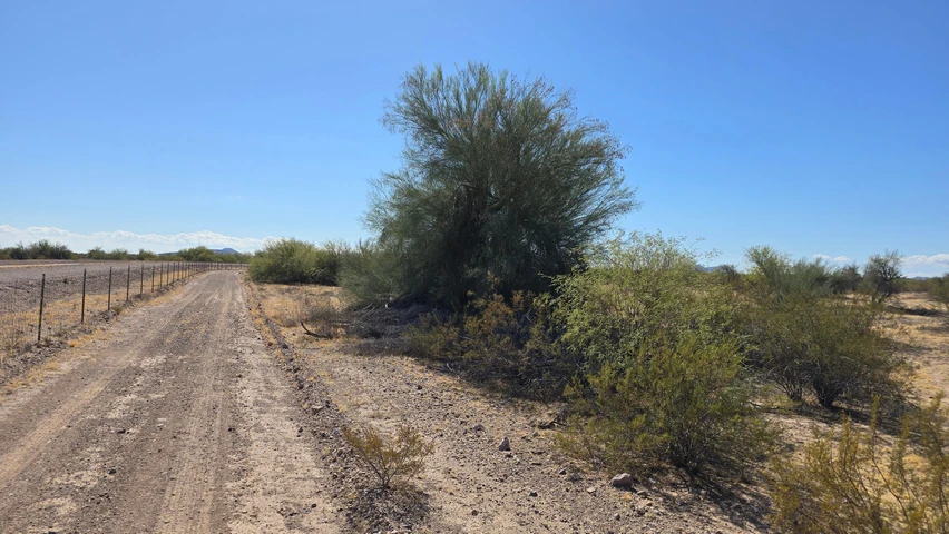 Nearby Listing Image