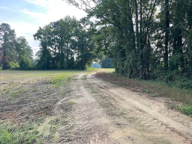 Nearby Listing Image