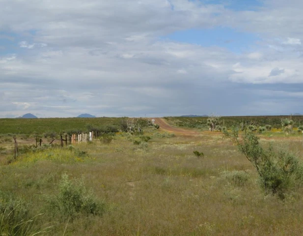 Nearby Listing Image