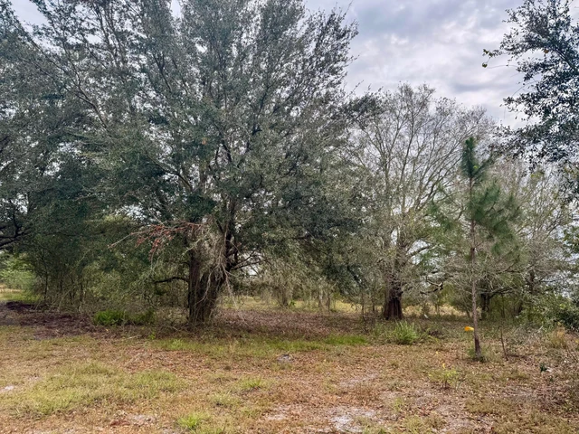 Nearby Listing Image