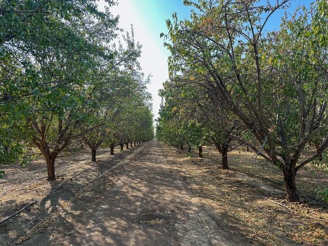 Nearby Listing Image