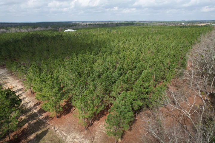 Nearby Listing Image