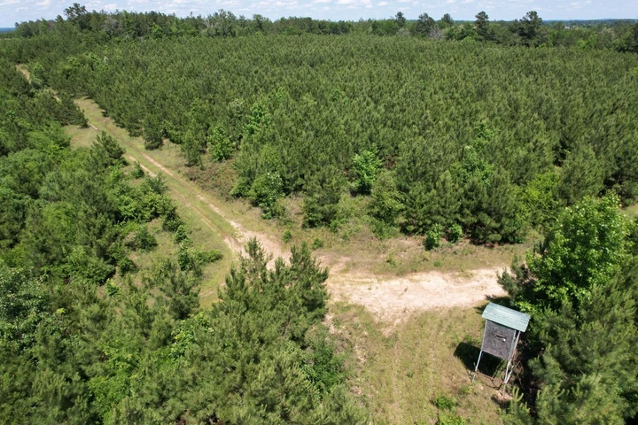Nearby Listing Image
