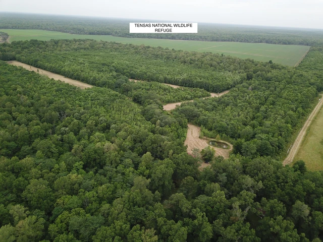 Nearby Listing Image