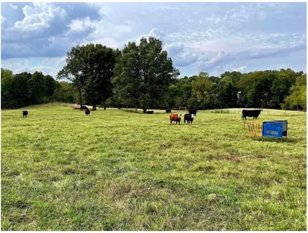 Nearby Listing Image