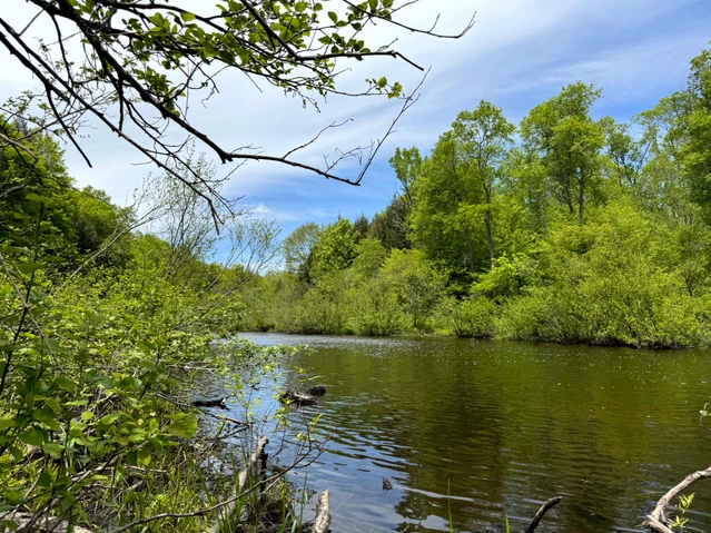 Nearby Listing Image