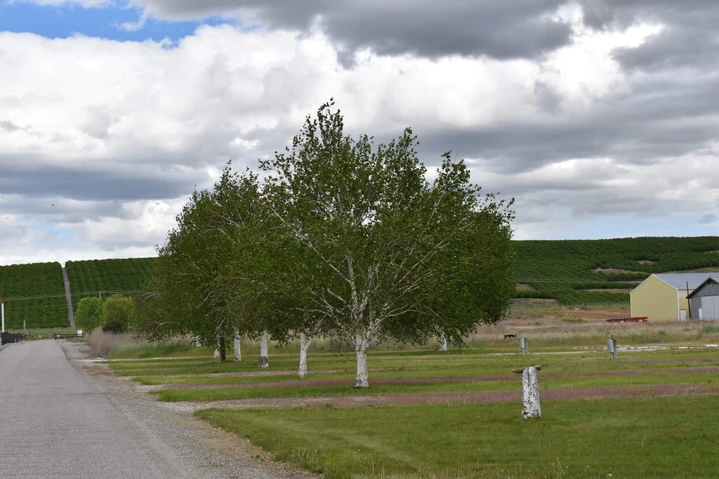 Nearby Listing Image