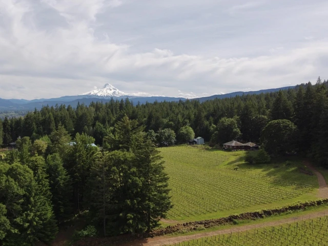 Nearby Listing Image