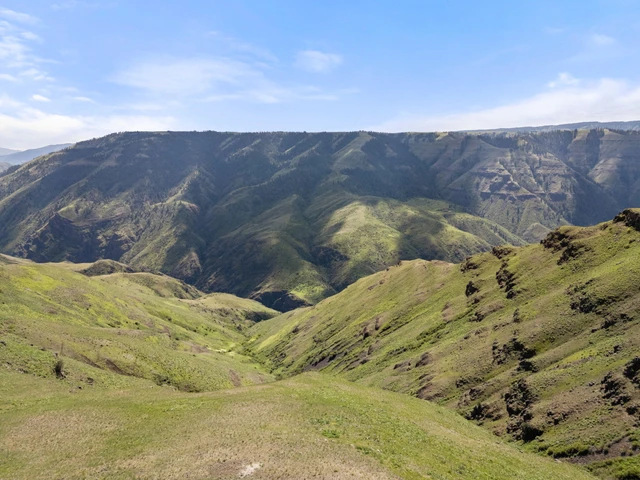 Nearby Listing Image