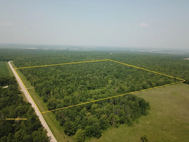 Nearby Listing Image