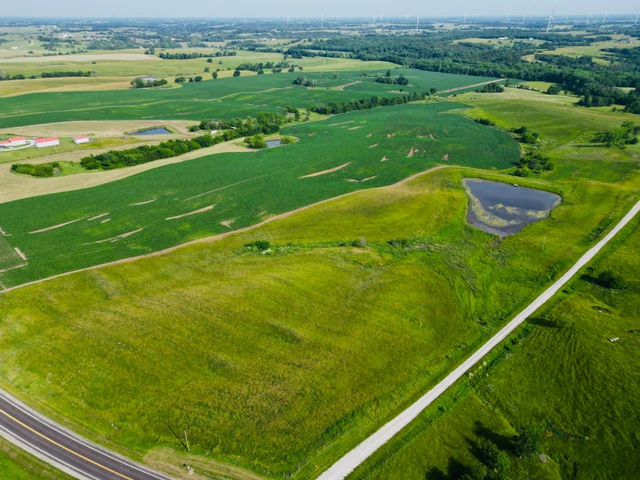 Nearby Listing Image